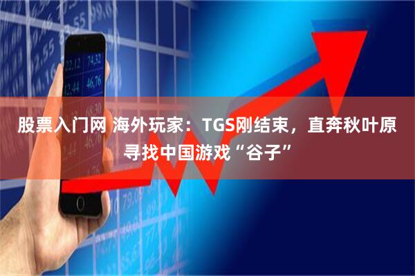 股票入门网 海外玩家：TGS刚结束，直奔秋叶原寻找中国游戏“谷子”