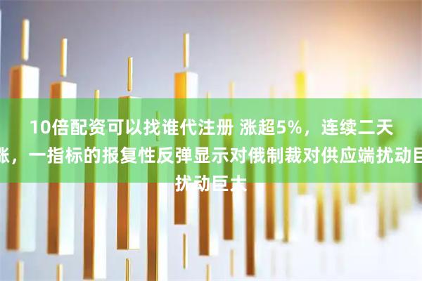 10倍配资可以找谁代注册 涨超5%，连续二天大涨，一指标的报复性反弹显示对俄制裁对供应端扰动巨大