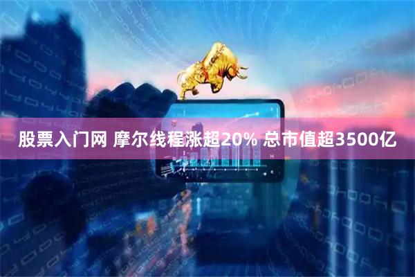 股票入门网 摩尔线程涨超20% 总市值超3500亿