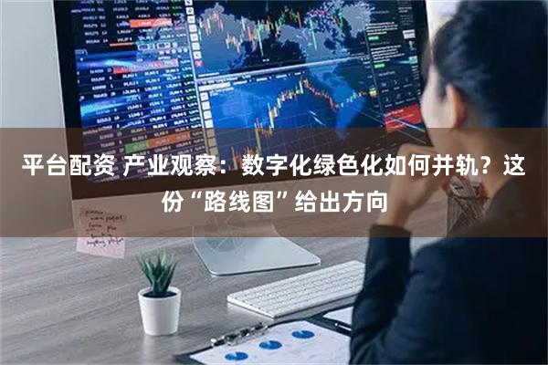 平台配资 产业观察：数字化绿色化如何并轨？这份“路线图”给出方向